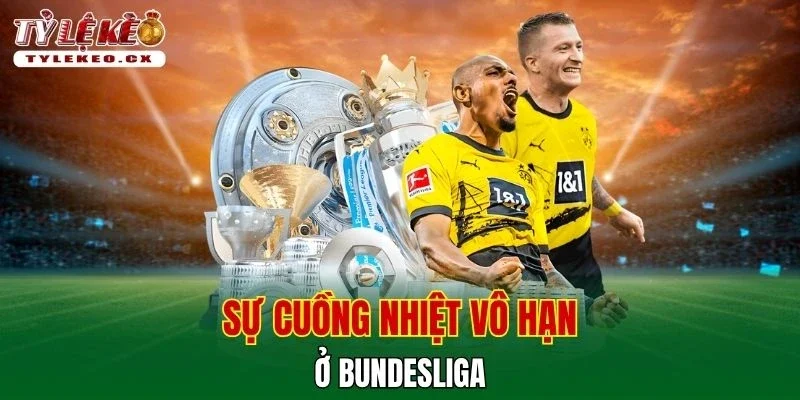 Tỷ Lệ Kèo 5